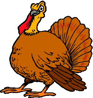 turkey